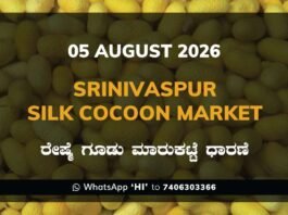 Srinivaspur Silk Cocoon Market Rates – 05 August 2026