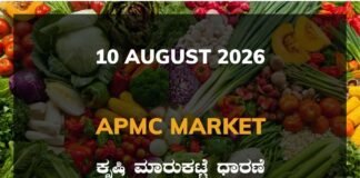 Srinivaspur Silk Cocoon Market – 10 August 2026 Srinivaspur Silk Cocoon Market Rates – 10 August 2026