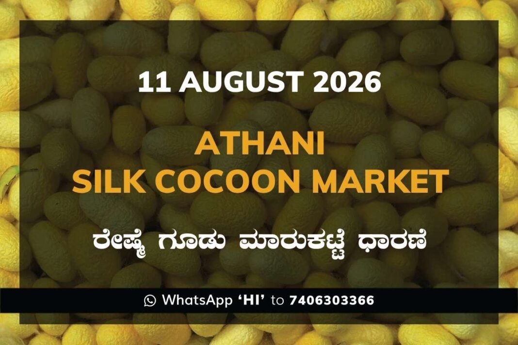 Srinivaspur Silk Cocoon Market Rates – 11 August 2026