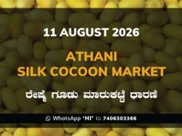 Srinivaspur Silk Cocoon Market Rates – 11 August 2026