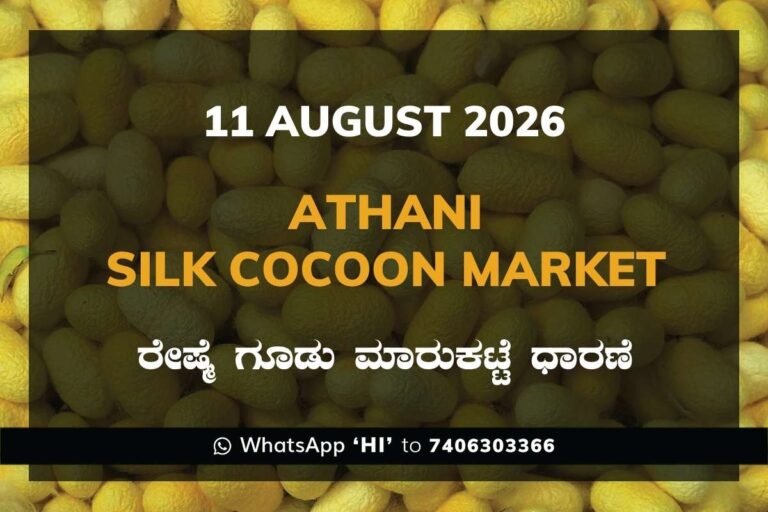 Srinivaspur Silk Cocoon Market Rates – 11 August 2026