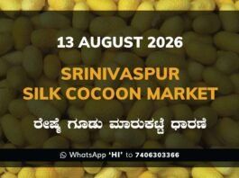 Srinivaspur Silk Cocoon Market – 13 August 2026 Srinivaspur Silk Cocoon Market Rates – 13 August 2026