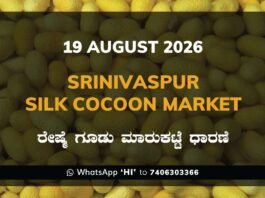 Srinivaspur Silk Cocoon Market Rates – 19 August 2026
