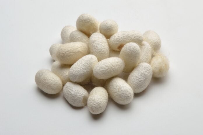 (C) Biswarup Ganguly Silk Cocoons - Tamil Nadu Cocoon Market