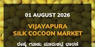 Vijayapura Silk Cocoon Market – 01 August 2026 Vijayapura Silk Cocoon Market Rates – 01 August 2026