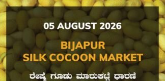 Vijayapura Silk Cocoon Market – 05 August 2026 Vijayapura Silk Cocoon Market Rates – 05 August 2026
