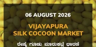 Vijayapura Silk Cocoon Market – 06 August 2026 Vijayapura Silk Cocoon Market Rates – 06 August 2026