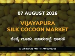 Vijayapura Silk Cocoon Market Rates – 07 August 2026