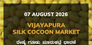 Vijayapura Silk Cocoon Market – 07 August 2026 Vijayapura Silk Cocoon Market Rates – 07 August 2026
