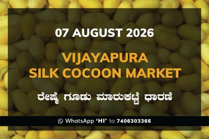 vijayapura-silk-cocoon-market-07-august-2026 Vijayapura Silk Cocoon Market Rates – 07 August 2026
