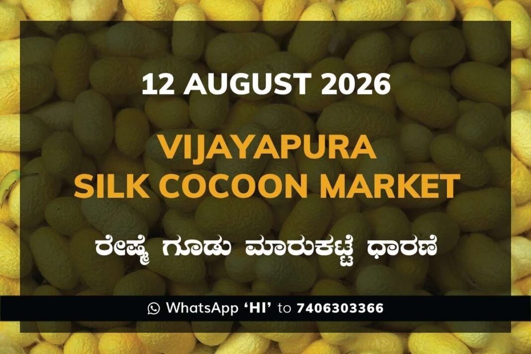 Vijayapura Silk Cocoon Market Rates – 12 August 2026
