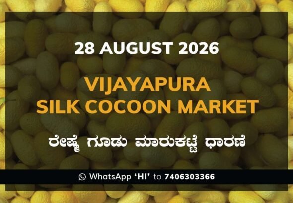 Vijayapura Silk Cocoon Market Rates – 28 August 2026