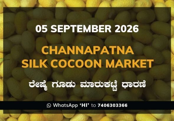 Channapatna Silk Cocoon Market Rates – 5 September 2026