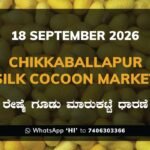 Chikkaballapur Silk Cocoon Market Rates – 18 September 2026
