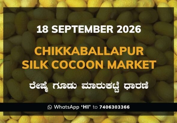 Chikkaballapur Silk Cocoon Market Rates – 18 September 2026