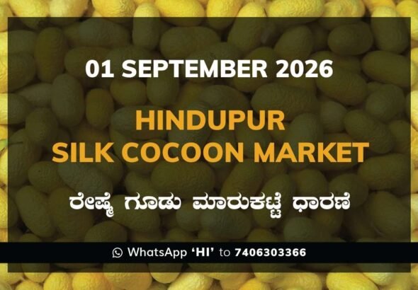 Hindupur Silk Cocoon Market Rates – 1 September 2026