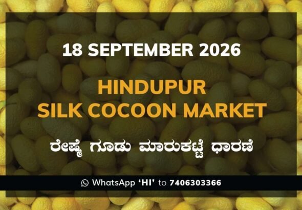 Hindupur Silk Cocoon Market Rates – 18 September 2026