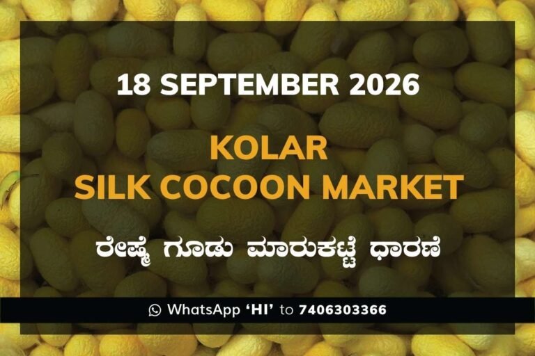 Kolar Silk Cocoon Market Rates – 18 September 2026
