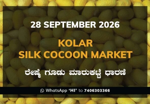 Kolar Silk Cocoon Market Rates – 28 September 2026