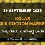 Kolar Silk Cocoon Market Rates – 29 September 2026