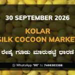 Kolar Silk Cocoon Market Rates – 30 September 2026