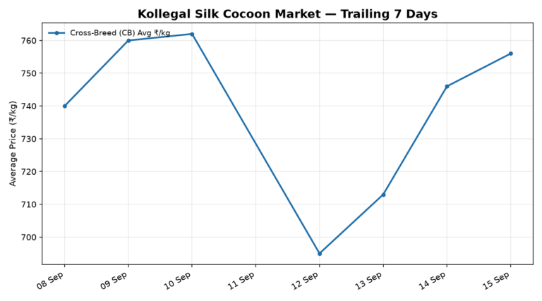 Kollegal Silk Cocoon Trend – 15 September 2026