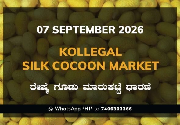 Kollegal Silk Cocoon Market Rates – 7 September 2026