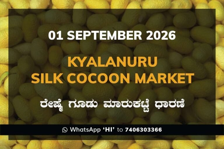Kyalanuru Silk Cocoon Market Rates – 1 September 2026