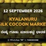 Kyalanuru Silk Cocoon Market Rates – 12 September 2026