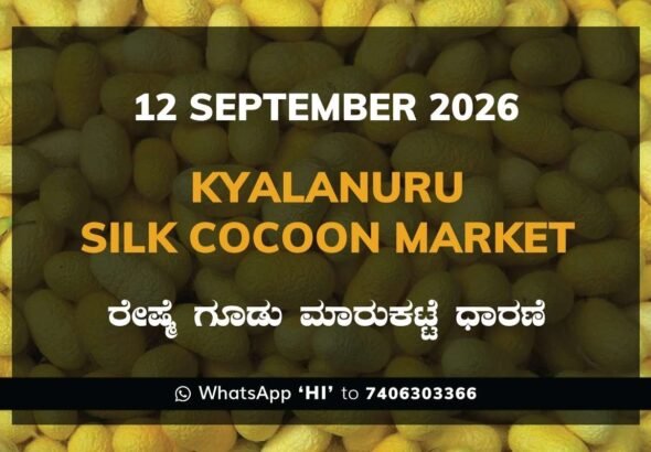 Kyalanuru Silk Cocoon Market Rates – 12 September 2026
