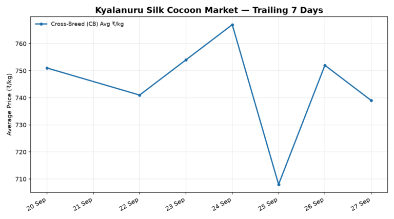Kyalanuru Silk Cocoon Trend – 27 September 2026