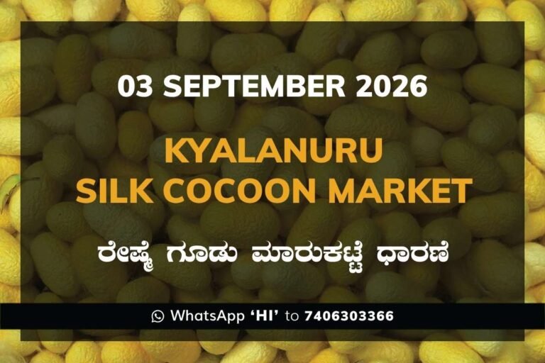 Kyalanuru Silk Cocoon Market Rates – 3 September 2026