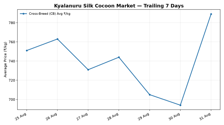 Kyalanuru Silk Cocoon Trend – 31 August 2026