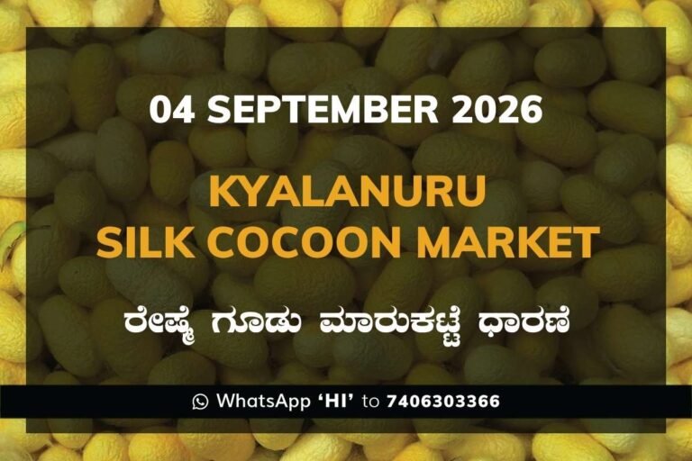 Kyalanuru Silk Cocoon Market Rates – 4 September 2026
