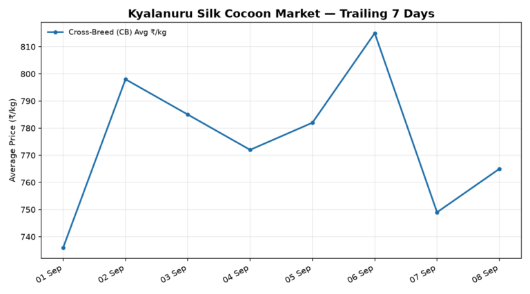 Kyalanuru Silk Cocoon Trend – 8 September 2026
