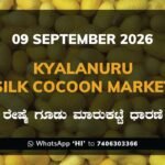 Kyalanuru Silk Cocoon Market Rates – 9 September 2026
