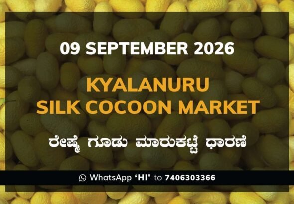 Kyalanuru Silk Cocoon Market Rates – 9 September 2026