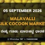 Malavalli Silk Cocoon Market Rates – 5 September 2026