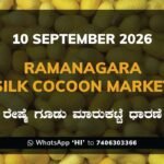 Ramanagara Silk Cocoon Market Rates – 10 September 2026
