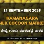 Ramanagara Silk Cocoon Market Rates – 14 September 2026