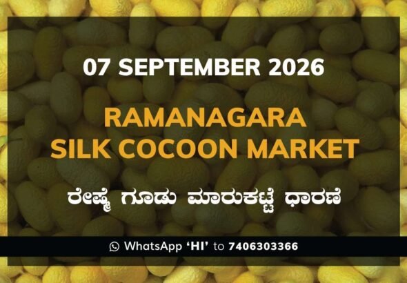 Ramanagara Silk Cocoon Market Rates – 7 September 2026