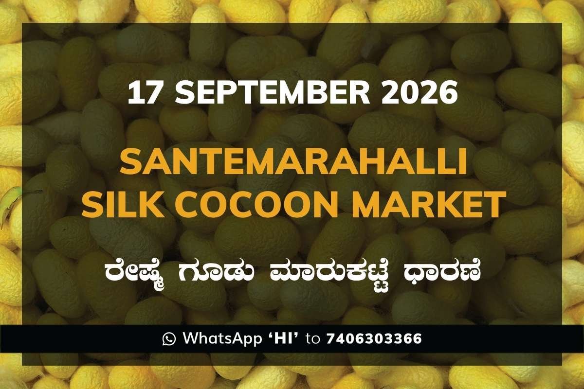 Santemarahalli Silk Cocoon Market Rates – 17 September 2026