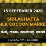 Sidlaghatta Silk Cocoon Market Rates – 15 September 2026