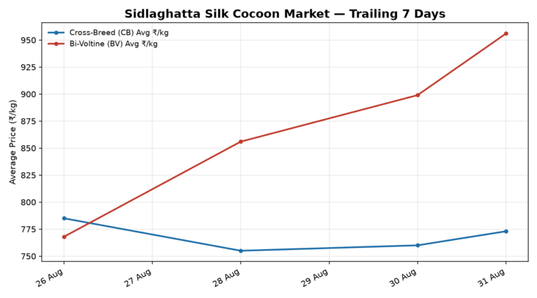 Sidlaghatta Silk Cocoon Trend – 31 August 2026
