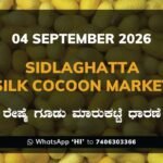 Sidlaghatta Silk Cocoon Market Rates – 4 September 2026