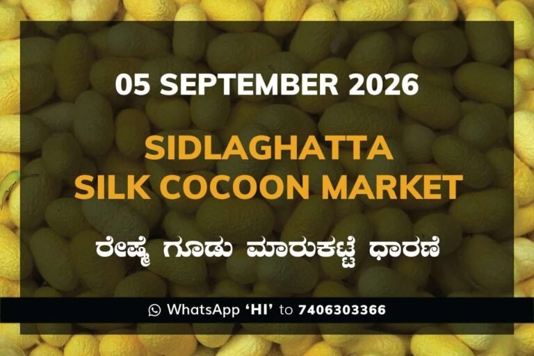 Sidlaghatta Silk Cocoon Market Rates – 5 September 2026