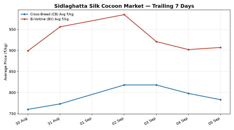 Sidlaghatta Silk Cocoon Trend – 5 September 2026