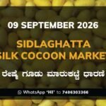 Sidlaghatta Silk Cocoon Market Rates – 9 September 2026