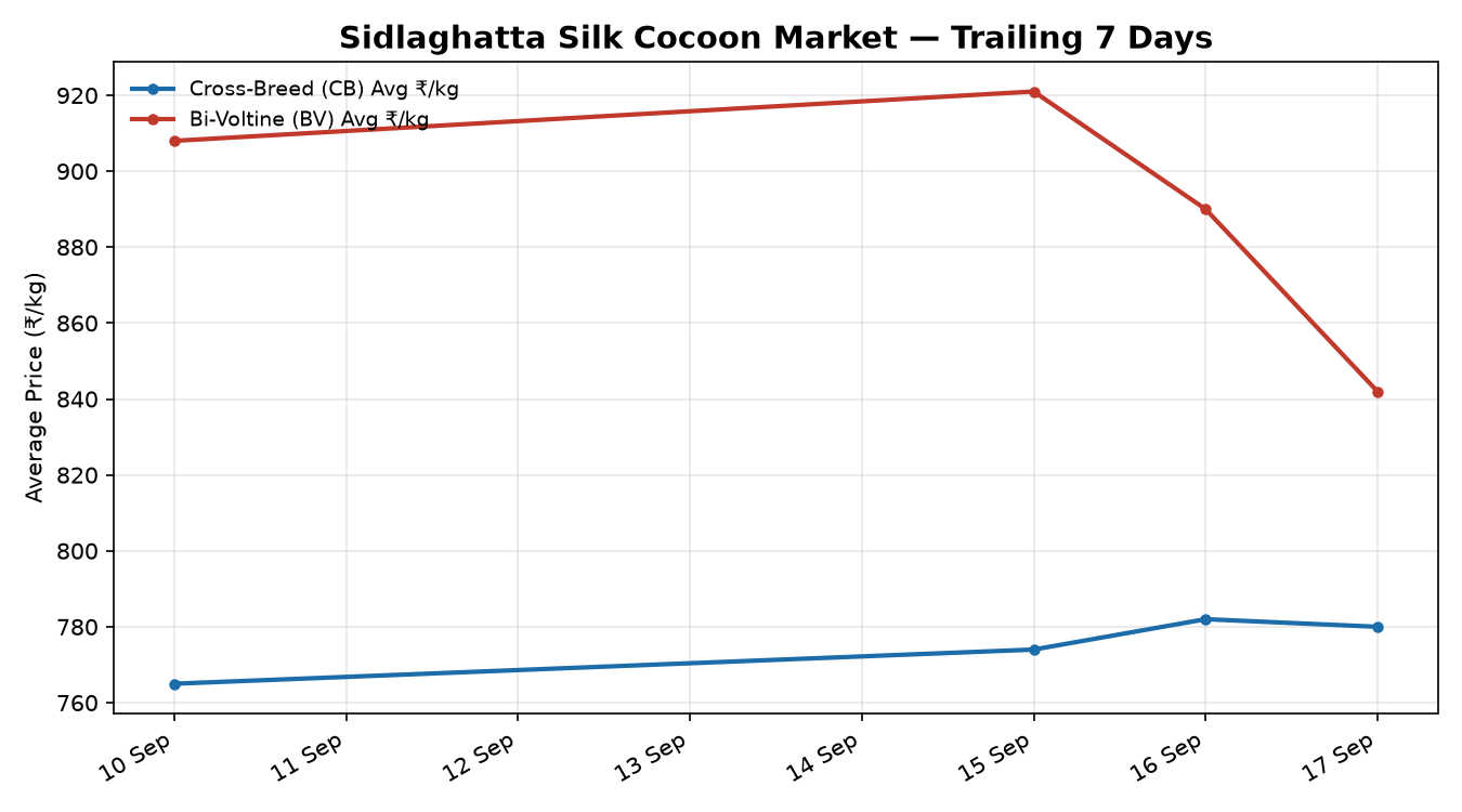 Sidlaghatta Silk Cocoon Price Trend