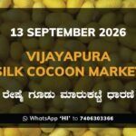 Vijayapura Silk Cocoon Market Rates – 13 September 2026